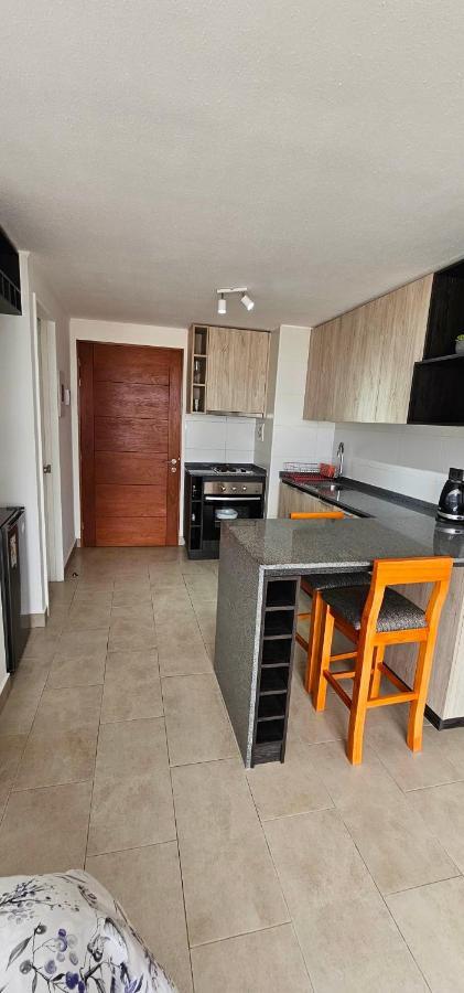 Apartamento Departamento Centro De Valdivia, Caupolican Valdivia